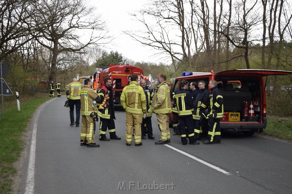 Waldbrand Wahner Heide Troisdorf Eisenweg P234.JPG - Miklos Laubert